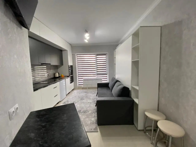 Best House Almaty Flat