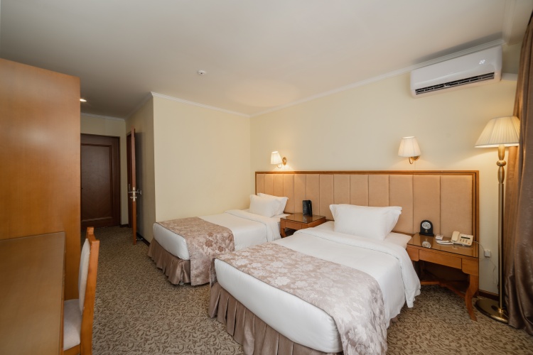 Standard Twin room with balcony and with view