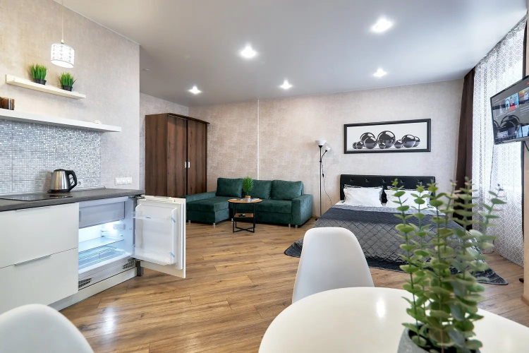 Studiya u Metro Petrovschina Flat
