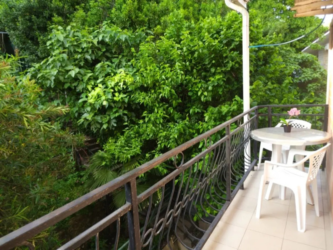 Фотография номера гостиницы Арго