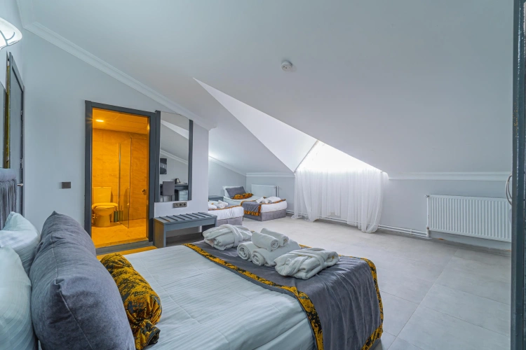 Standard Family room