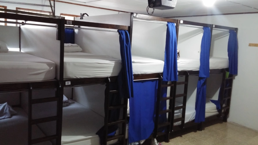 Bed in Dorm