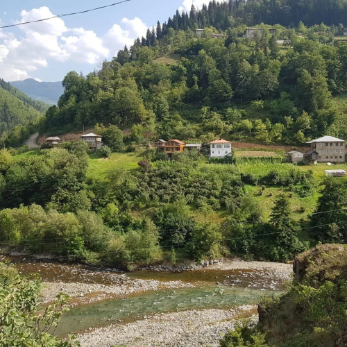 Okropilauri Guest House