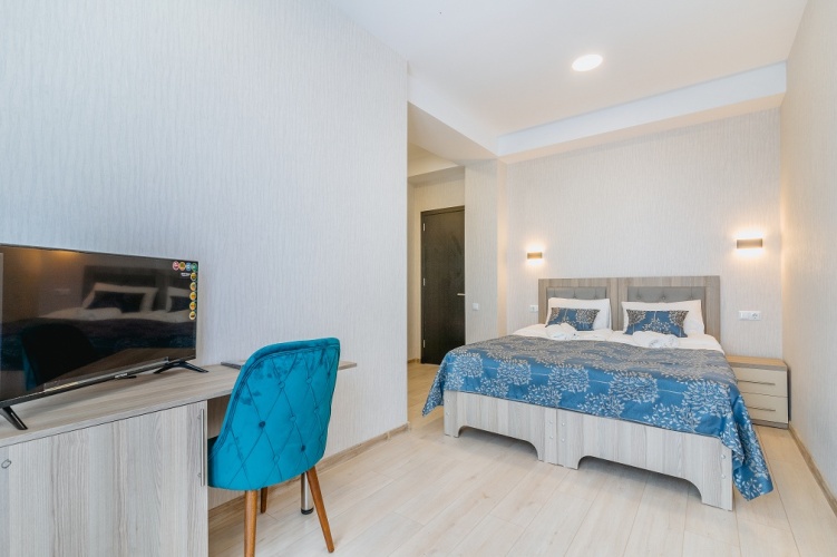 Standard Twin room with balcony and with view