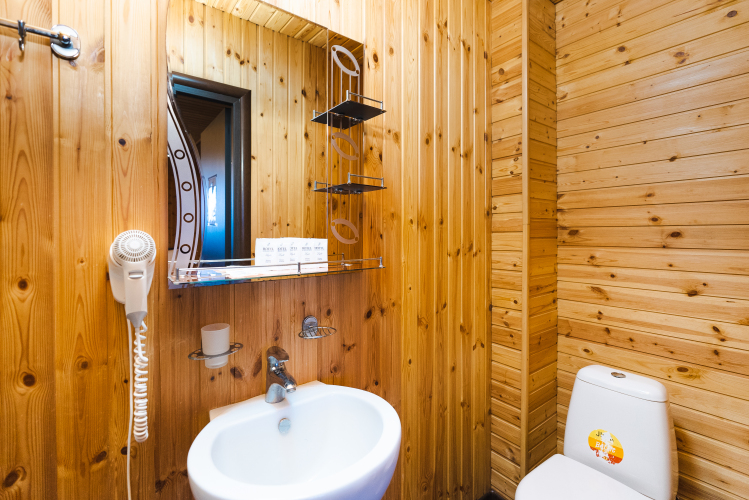 Фотография номера гостиницы Парк-Отель Папайя