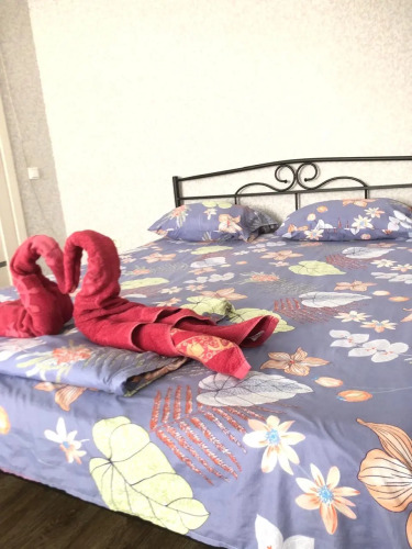 Фотография номера квартиры Квартира 237