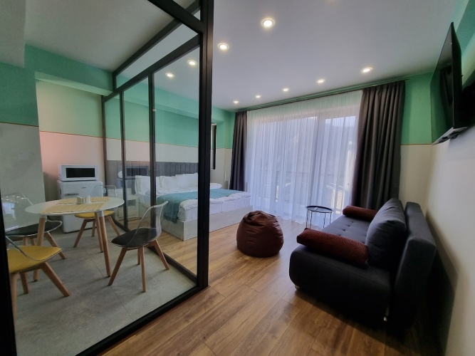 1 Bedroom Apartment with balcony and with view