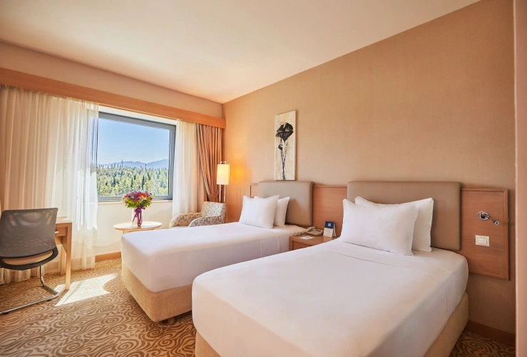 Superior Twin room with view