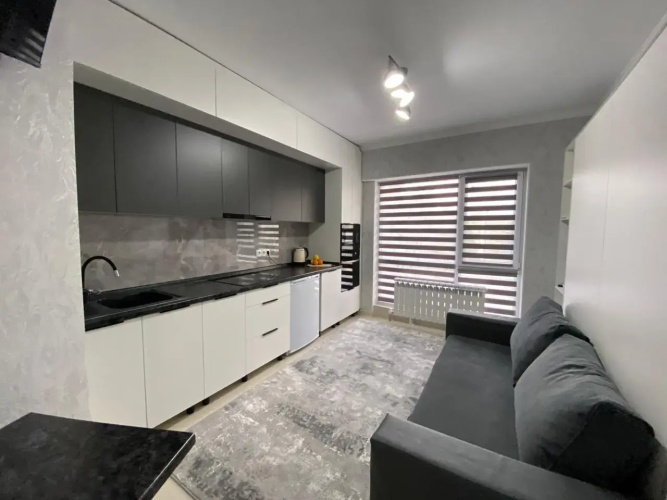 Best House Almaty Flat