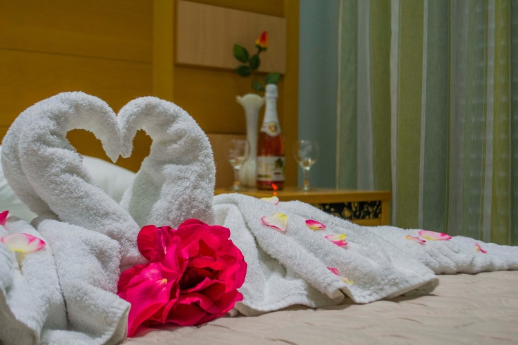 Standard Double room with balcony and with view