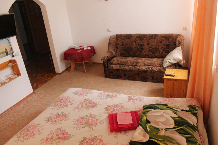 Фотография номера гостиницы Дом Дружбы