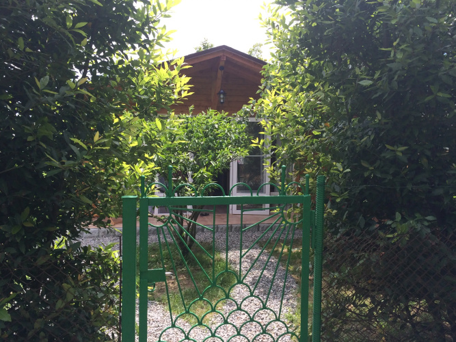 Ekodomik Bungalow