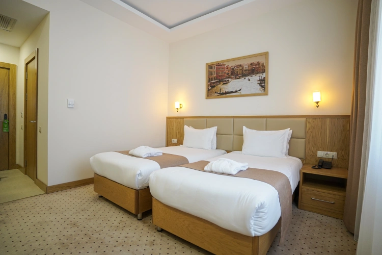 Standard Double room with city view