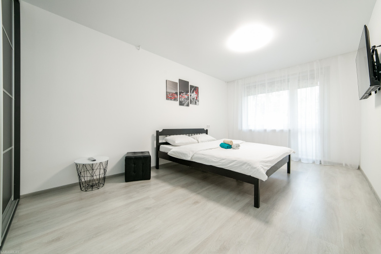 1 Bedroom Double Apartment with balcony and with city view