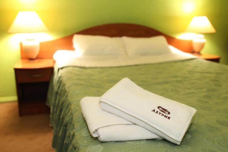 Фотография номера гостиницы Даурия