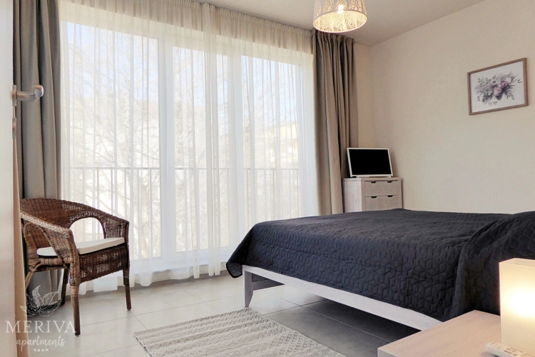 1 Bedroom Superior Apartment with balcony and with view