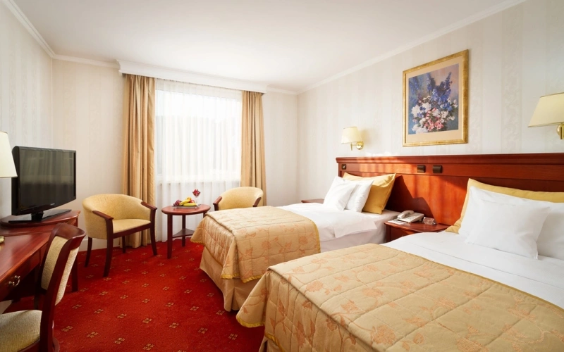 Standard Twin room with view
