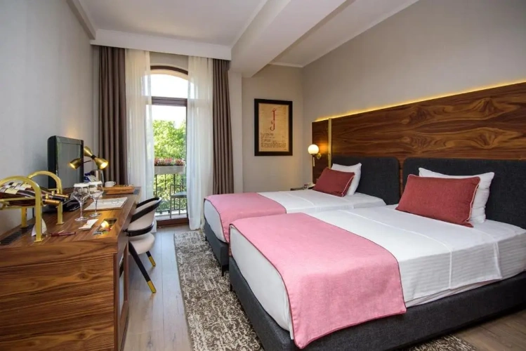 Deluxe Twin room with balcony and with view