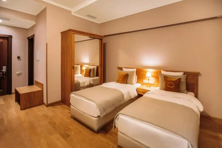 Standard Twin room with mountain view