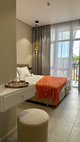 Standard Double room with balcony and with view