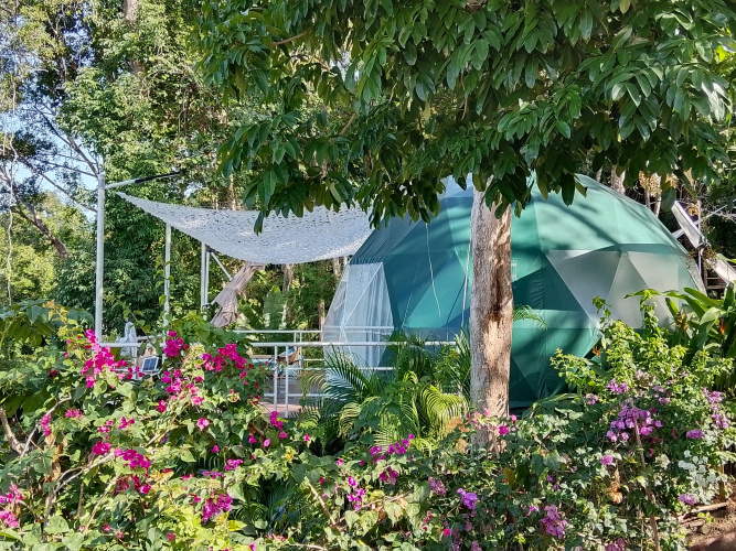 Natur Krabi Campsite Glamping - クラビー