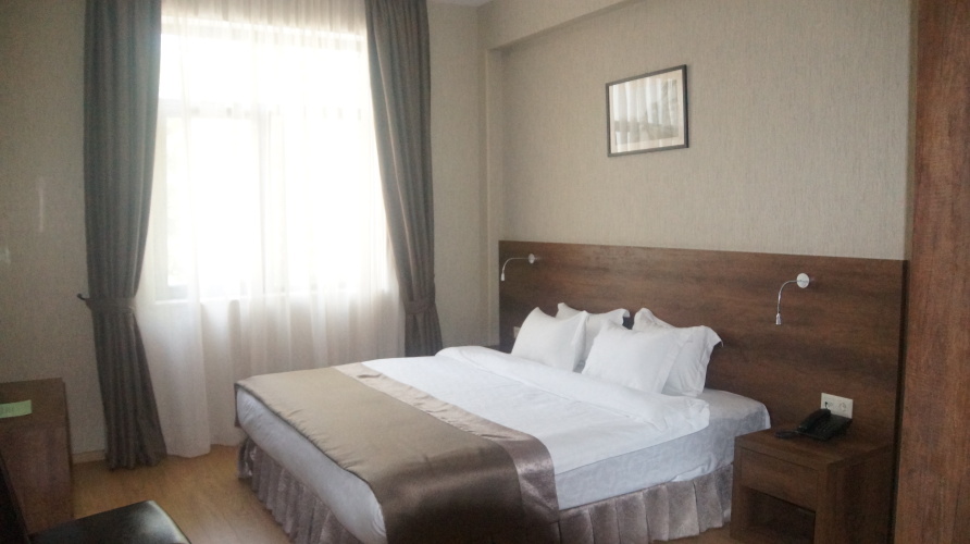 Standard Double room with city view