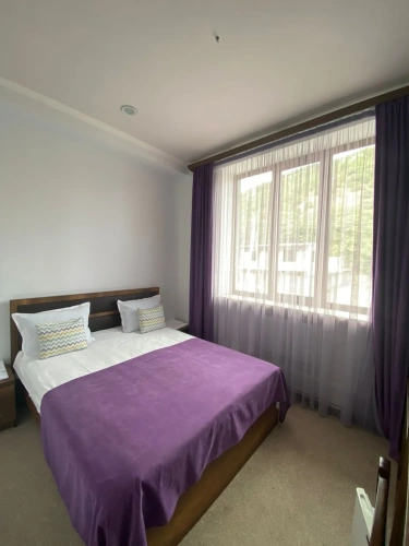 Standard Double room with balcony and with view