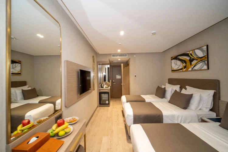 Standard Triple room