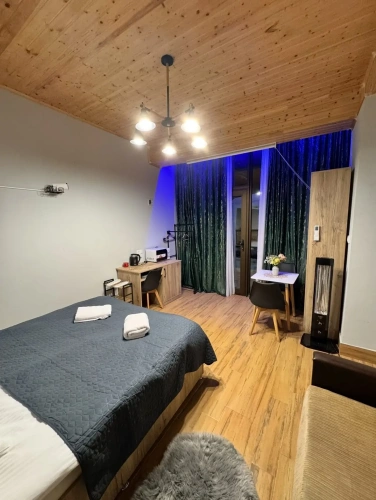 Deluxe Double room with balcony and with mountain view