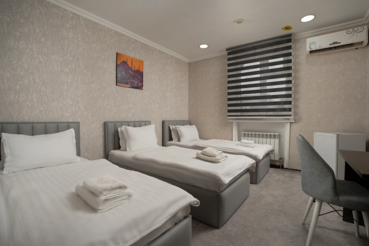 Standard Triple room with city view