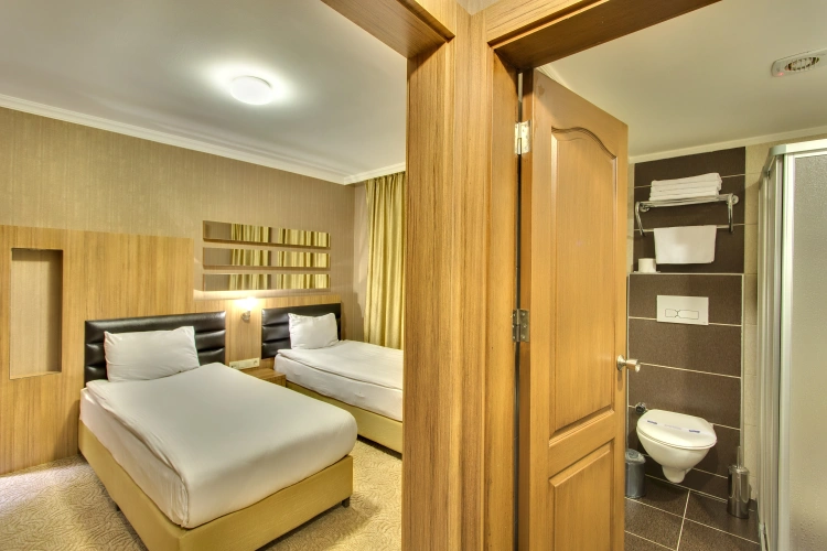 Standard Twin room with city view