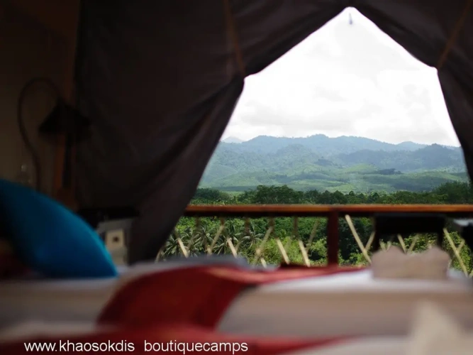 Standard Twin room with view