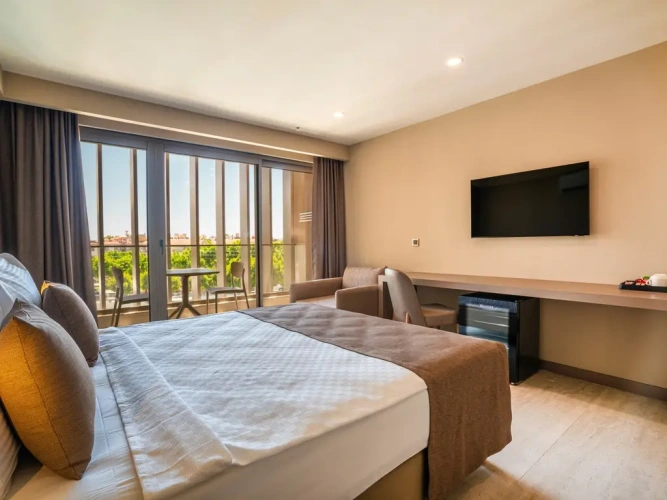 Standard room with balcony and with pool view