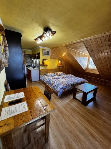 Standard Double Attic room with lake view