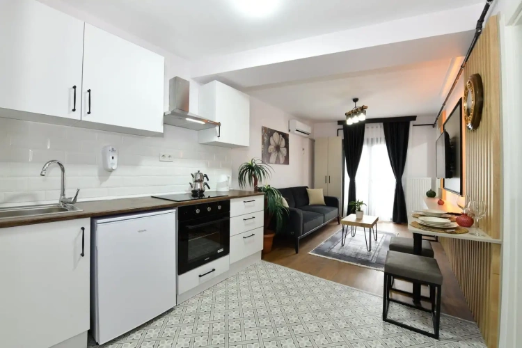1+1 Suite Apartment with city view