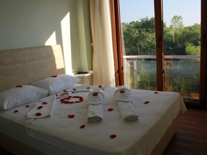 Standard Double room with garden view