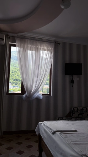 Standard room with mountain view
