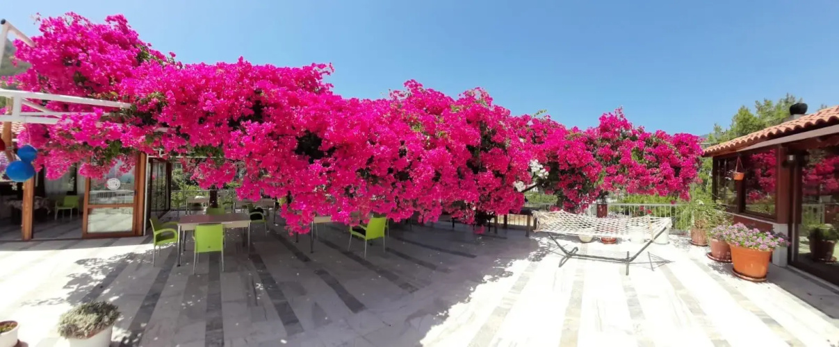 Akdeniz Pansiyon Bed&Breakfast