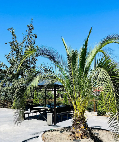 4SeasonsVilla Villa