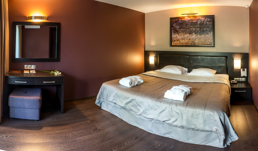 Junior Suite with balcony and with garden view