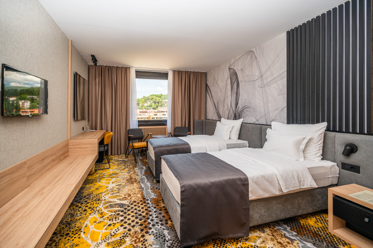 Superior Twin room with view