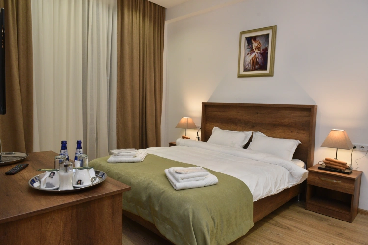 Standard Double room with balcony and with view