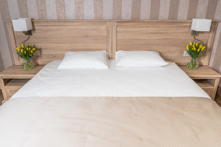 Фотография номера гостиницы Теплица Парк