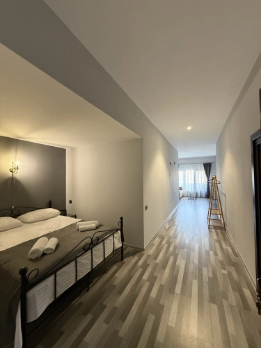 Comfort Double room with balcony and with mountain view
