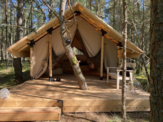 Фотография номера Коттеджа Дом Ecolodge Zen