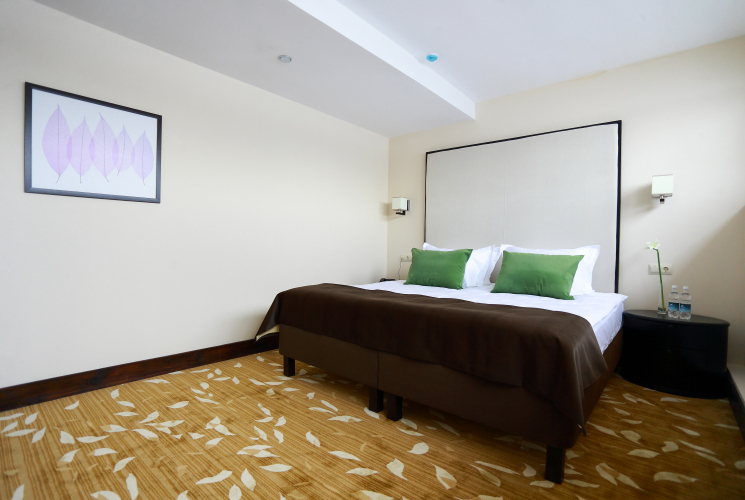 Фотография номера гостиницы Гарден Хотел и Спа