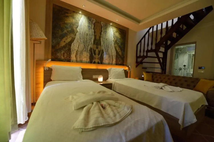 Superior Double room with balcony and with garden view