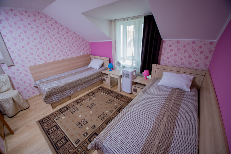 Фотография номера гостиницы Золотой лев