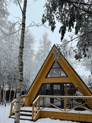 Фотография номера Коттеджа Частный Дом Березовый в Сосновом Лесу