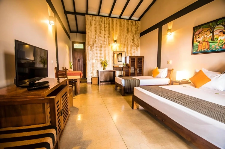 Deluxe room with balcony and with view